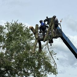 Green Leaf Tree Service
