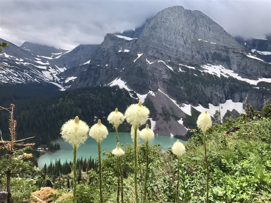 Grinnell Glacier by null