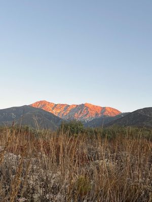 North Etiwanda Preserve by null