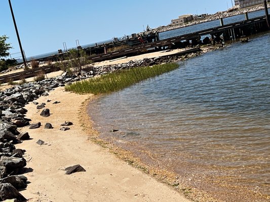 The Deadrise by null