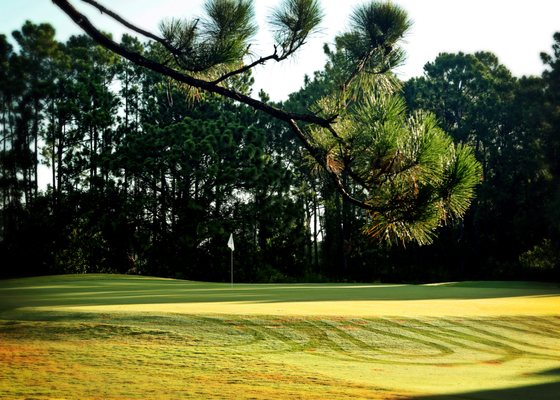 PINEMOOR GOLF CLUB Updated May 2025 80 Clubhouse Rd Rotonda West