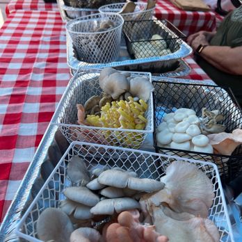 Athens Farmer's Market - a variety of mushrooms - Farmers Market Near Me - Athens, Texas Athens Farmer's Market - a variety of mushrooms - Farmers Market Near Me - Athens, Texas