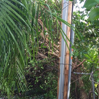 G&V Shalom Tree Care - a telephone pole in the woods - Tree Services Near Me - Pompano Beach, Florida G&V Shalom Tree Care - a telephone pole in the woods - Tree Services Near Me - Pompano Beach, Florida