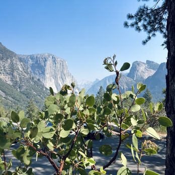 El Capitan - El Capitan and Half Dome - Hiking Near Me El Capitan - El Capitan and Half Dome - Hiking Near Me