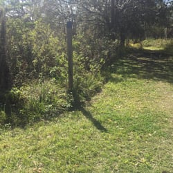 Sydney Dover Trail Park - Finally, the trail