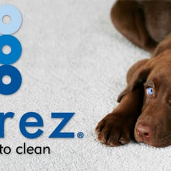 Zerorez Willamette Valley - Zerorez Eugene, the right way to clean. Carpets, upholstery, tile and grout. No residue cleaning means your carpets will stay cleaner longer