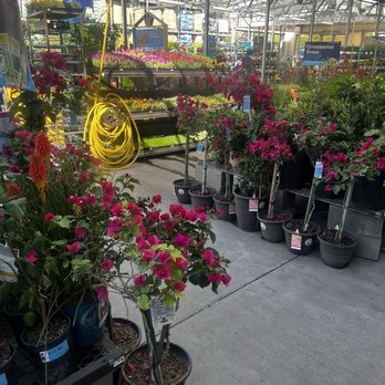 Lowe's Home Improvement - Santa Clarita LOWES garden center located @ 26415 BOUQUET CANYON ROAD. Santa Clarita, CA 91350 - Hardware Stores Near Me - Santa Clarita, California Lowe's Home Improvement - Santa Clarita LOWES garden center located @ 26415 BOUQUET CANYON ROAD. Santa Clarita, CA 91350 - Hardware Stores Near Me - Santa Clarita, California
