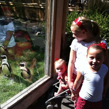 Idaho Falls Zoo - Great penguin exhibit, make sure to catch the feeding time. - Zoos Near Me - Idaho Falls, Idaho Idaho Falls Zoo - Great penguin exhibit, make sure to catch the feeding time. - Zoos Near Me - Idaho Falls, Idaho