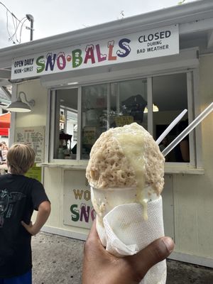 Imperial Woodpecker Sno-Balls by null
