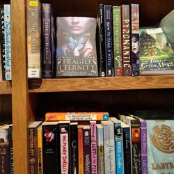 I spy with my little eye my favorite author, Melissa Marr