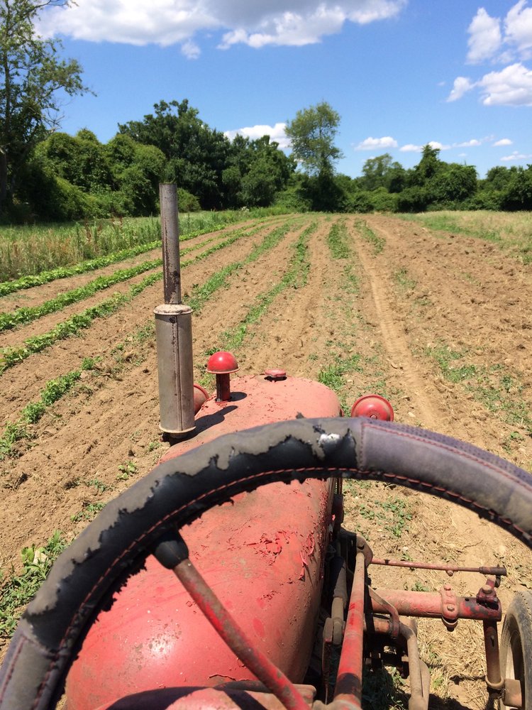 PECKHAM FARM 1299 Wapping Rd, Middletown, RI Yelp