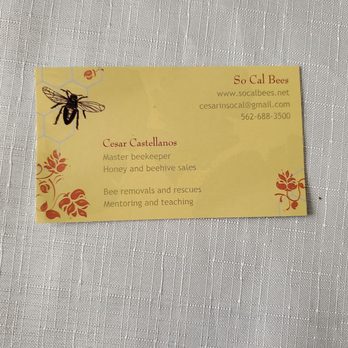 So Cal Bees - Master Beekeeper - Pest Control Near Me So Cal Bees - Master Beekeeper - Pest Control Near Me