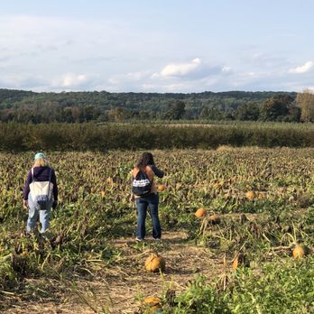 Melick Orchards - Pumpkin patch - Farmers Market Near Me - Califon, New Jersey