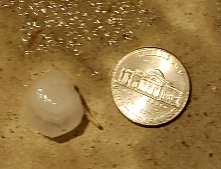 Slide of Evolution Contractors