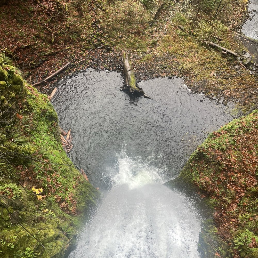 Multnomah Falls - View of the lower falls from the bridge - Hiking Near Me - Bridal Veil, Oregon Multnomah Falls - View of the lower falls from the bridge - Hiking Near Me - Bridal Veil, Oregon