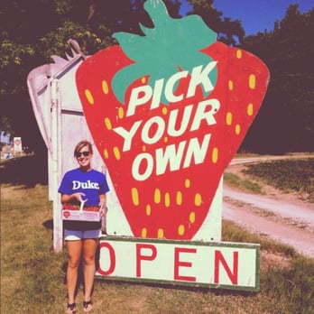 Thompson Farm - Pickin' - Pumpkin Patches Near Me - Bristol, Wisconsin