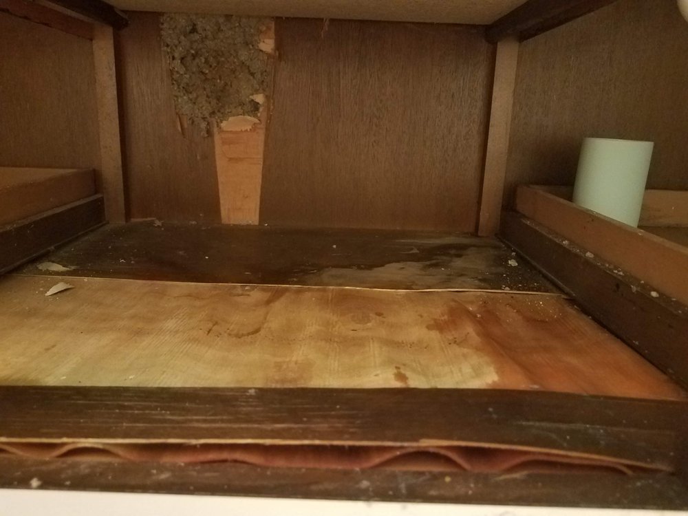 Slide of Roto-Rooter Plumbing & Water Cleanup