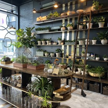 Chlorophyll by Kinghorn Gardens - Nurseries & Gardening Near Me - Omaha, Nebraska