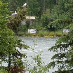Bings Landing Campground
