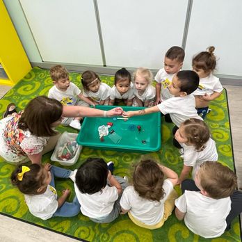 Baby Stars - Hands-on float-and-sink science activity. Learning through experience is always more engaging. - Preschools Near Me - Miami, Florida Baby Stars - Hands-on float-and-sink science activity. Learning through experience is always more engaging. - Preschools Near Me - Miami, Florida