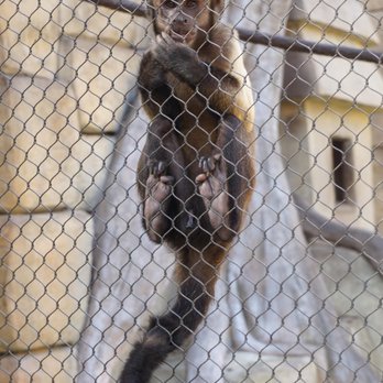 Gladys Porter Zoo - PP - Zoos Near Me - Brownsville, Texas