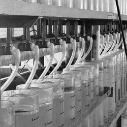 Gavins Point National Fish Hatchery - Where the science happens