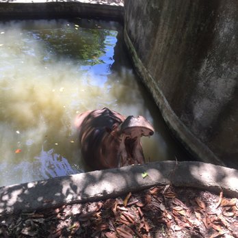 Zoologico De Vallarta - Zoos Near Me - Boca de Mixmaloya, JAL