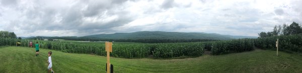 Great Vermont Corn Maze by null
