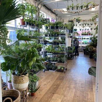 A Succulent Day - Gift Shops Near Me - Boise, Idaho
