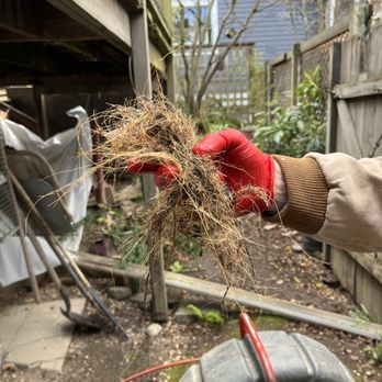 All City Sewer Repair - pesky roots economically removed - Hydro-jetting Near Me All City Sewer Repair - pesky roots economically removed - Hydro-jetting Near Me