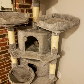 Two Men and a Truck Annapolis - Cat condo deemed "too dirty" that is like new condition, they refused to move it. - Movers Near Me - Columbia, Maryland Two Men and a Truck Annapolis - Cat condo deemed "too dirty" that is like new condition, they refused to move it. - Movers Near Me - Columbia, Maryland