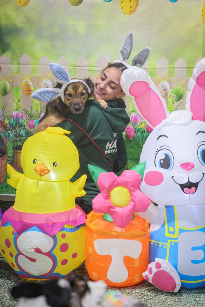 Pawsies - pet boarding facility in Brooklyn, NY