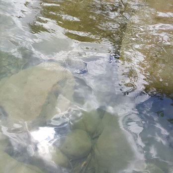 Garner State Park - Clear water - Parks Near Me - Concan, Texas