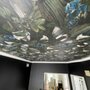 MC Wallcovering