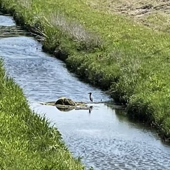 Carbide Park - Wildlife - Parks Near Me - La Marque, Texas Carbide Park - Wildlife - Parks Near Me - La Marque, Texas