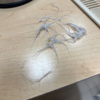 JCPenney Stoneridge Mall Salon - Hair immediately falling out - Hair Salons Near Me - Pleasanton, California JCPenney Stoneridge Mall Salon - Hair immediately falling out - Hair Salons Near Me - Pleasanton, California