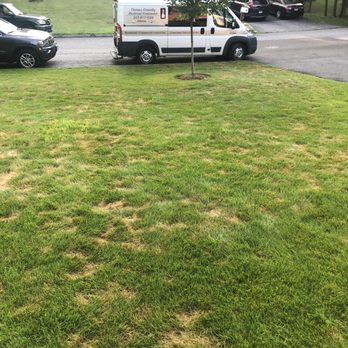 TruGreen Lawn Care - Tree Services Near Me - Danbury, Connecticut TruGreen Lawn Care - Tree Services Near Me - Danbury, Connecticut