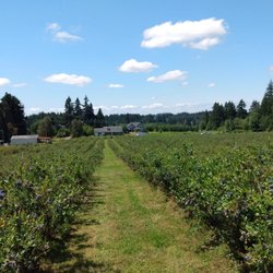 Prairie Berry Farm