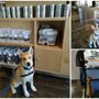 Photo of Just Food For Dogs