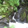 Photo of Dolgoch Falls