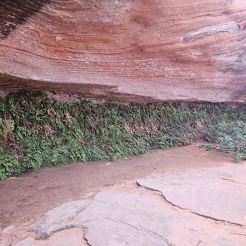 Hanging Gardens Trailhead - Hiking Near Me