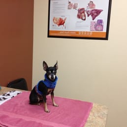 Super clean exam rooms! Super clean exam rooms!