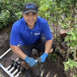 Tampa Irrigation Service