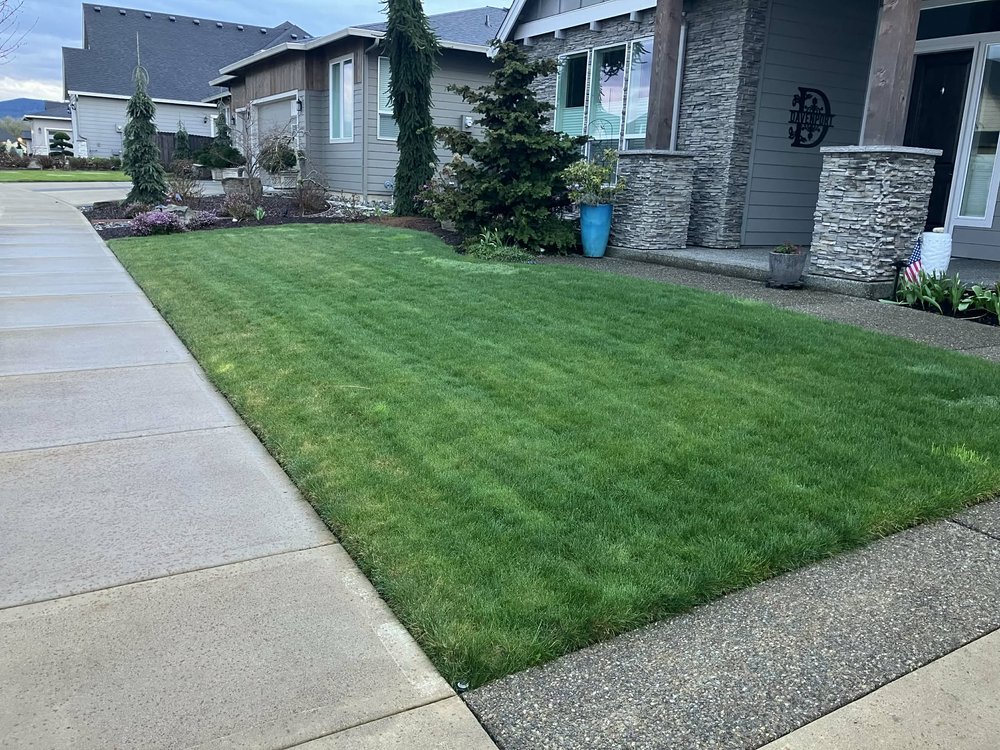 FLORES LANDSCAPING - Updated March 2026 - Request a Quote - Brush ...