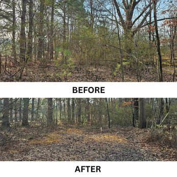 PRO Land Services - Excavation Services Near Me - Memphis, Tennessee PRO Land Services - Excavation Services Near Me - Memphis, Tennessee