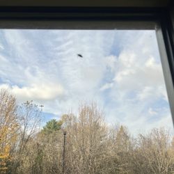 Holiday Inn Express & Suites Morristown - Bug