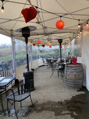 Apolloni Vineyards by null