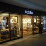 Photo of Fossil