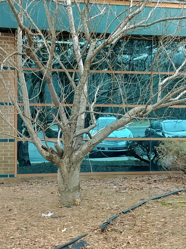 Slide of Schwarz All Trades Fix