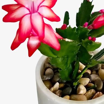 Quintessential - Florists Near Me - Yakima, Washington